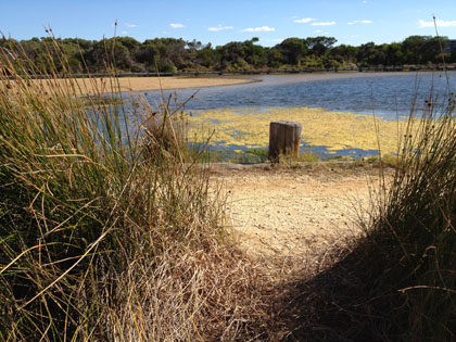 Torquay boardwalk